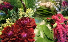 Providence Flower Delivery Providence Flower Delivery