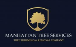 Manhattan Tree Services, a Top Tree Removal Company in New York City Announces Expanded Service for NY
