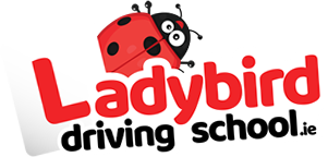 The Female Only “Ladybird Driving School” Providing Driving Lessons Services in Dublin, Ireland