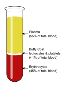 RealtimeCampaign.com Offers Information on Blood In The Body & How To Buy Plasma