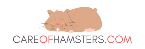 Care of Hamsters Launches Helpful Blog for New and Seasoned Pet Owners