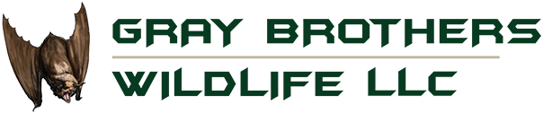 Gray Brothers Wildlife Offers 24/7 Emergency Wildlife Removal in Connecticut