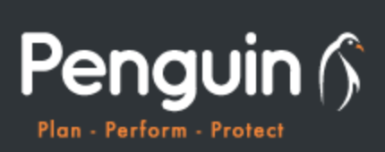 Penguin Wealth is Committed to Building Bespoke Financial Plans for Their Clients