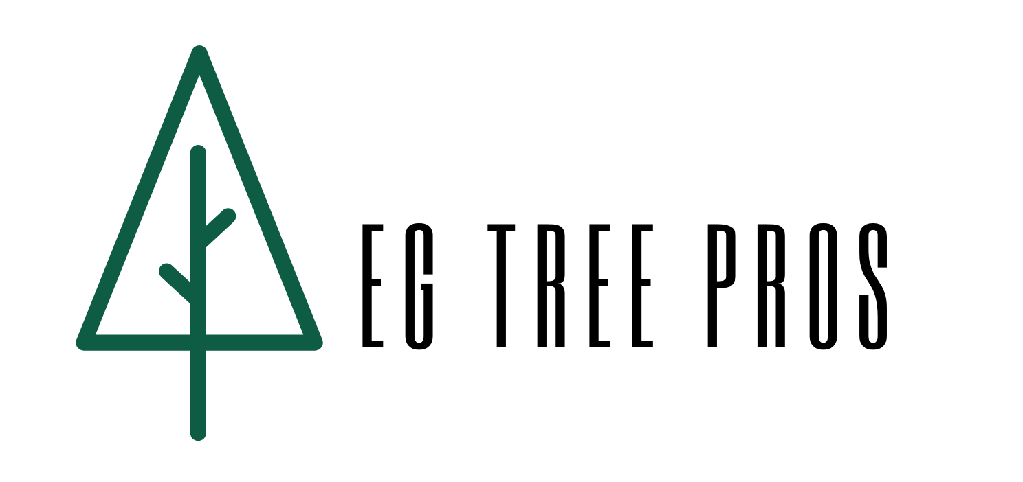 EG Tree Service Pros Announces Its Expanded List Of Services