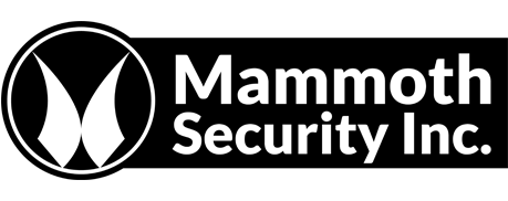Mammoth Security Inc. New Britain Provides Security System Installation, Linked By Rutger’s Study to Burglary Reduction