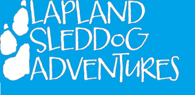 Lapland Sleddog Adventures Offers Tourists Unique Arctic Experience