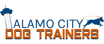 Alamo City Dog Trainers Outlines the Benefits of Obedience Training For Dogs in Their San Antonio Doggy Daycare