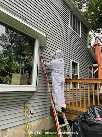 All-Pro Pest Solutions LLC Emerges as the Premier Termite Control Provider in Schenectady, NY All-Pro Pest Solutions LLC Emerges as the Premier Termite Control Provider in Schenectady, NY