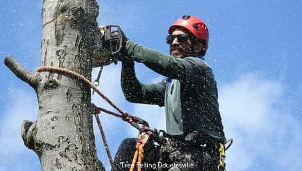 Fully Licensed and Insured Large and Small Tree Services in Douglasville Fully Licensed and Insured Large and Small Tree Services in Douglasville