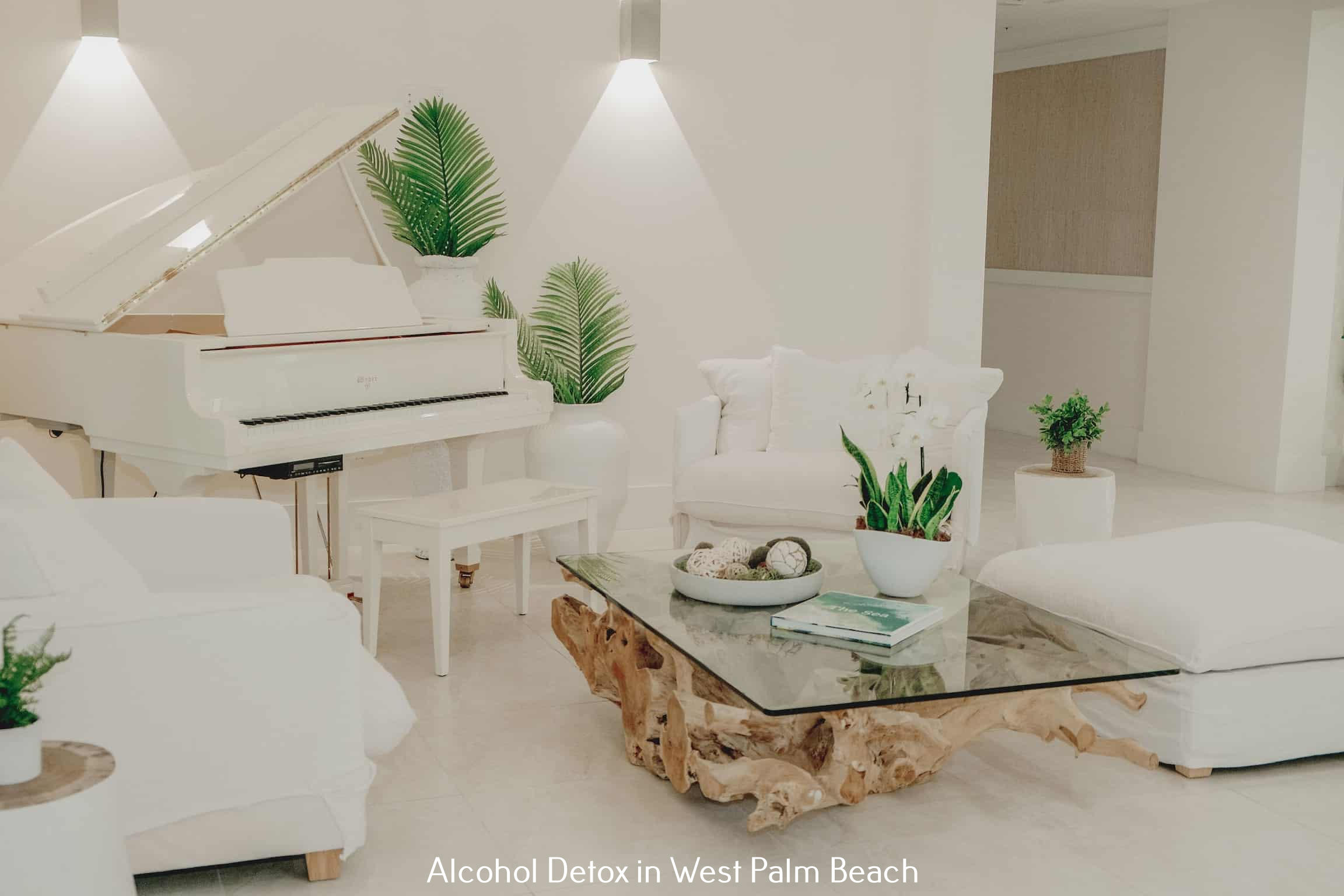 Flagler Health and Wellness Explains Why Clients Should Choose Them Flagler Health and Wellness Explains Why Clients Should Choose Them