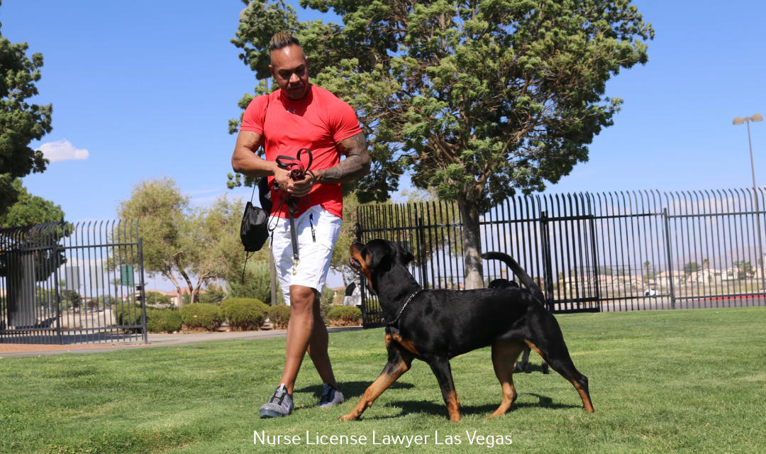 Spartacus Criminal Defense Lawyers Outlines the Most Common Mistakes Made in Criminal Law Cases Spartacus Criminal Defense Lawyers Outlines the Most Common Mistakes Made in Criminal Law Cases