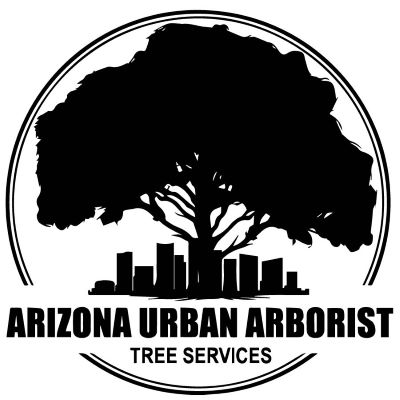 Arborist Phoenix AZ: ISA-Certified Tree Experts Bring Urban Tree Service to the Next Level Arborist Phoenix AZ: ISA-Certified Tree Experts Bring Urban Tree Service to the Next Level