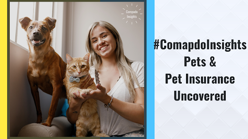 Compadoinsights Reveals Key Trends in the Pet and Pet Insurance Market – Insurance News
