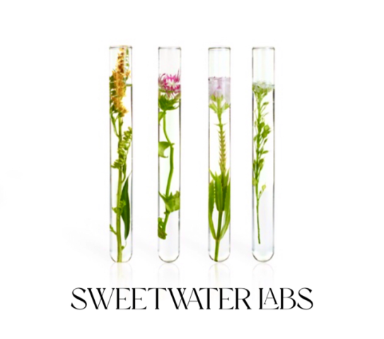 Sweetwater Labs: The Growing Natural Skincare Brand That is Quickly Becoming Everyone’s Favorite
