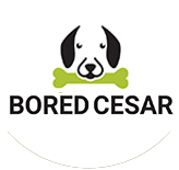Blog Website ‘Bored Cesar’ Helps Pet Owners Become More Informed About their Four-Legged Companion’s Well-Being