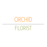 Orchid Florist Offers Exotic Blooms and Same Day Delivery to Berkeley