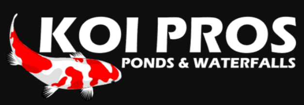 Koi Pros Offers Outdoor Pond and Water Fountain Services in Aliso Viejo, CA