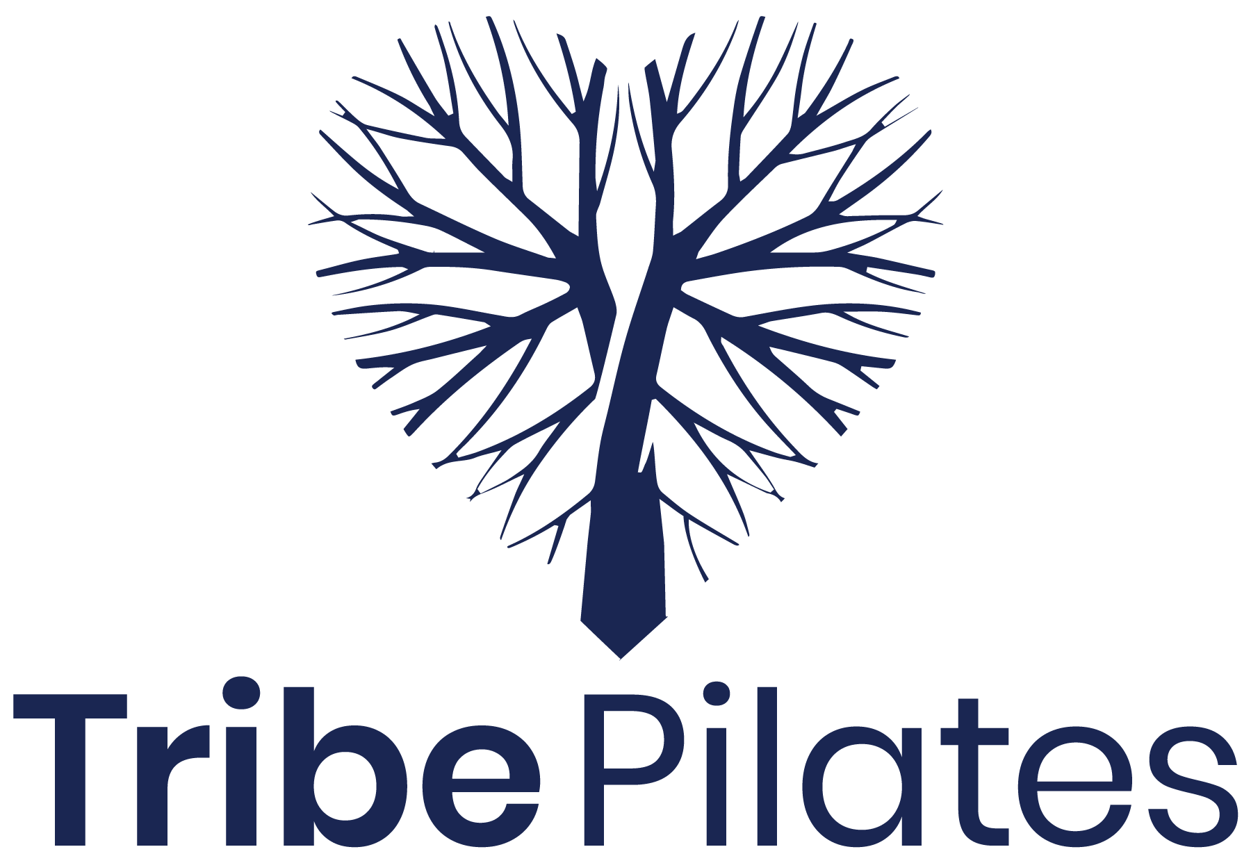 Santa Monica Pilates Studio, Tribe Pilates is Hosting Live Pilates Workouts That Anyone Can Join and Participate In