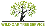 Austin Tree Services is Expanding Its Services to More Communities in Austin, TX, Offering a Special Summer Discount