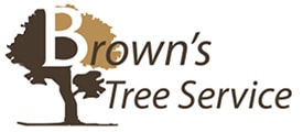 Fort Worth Tree Service Experts Build a New Website, Expands Tree Services