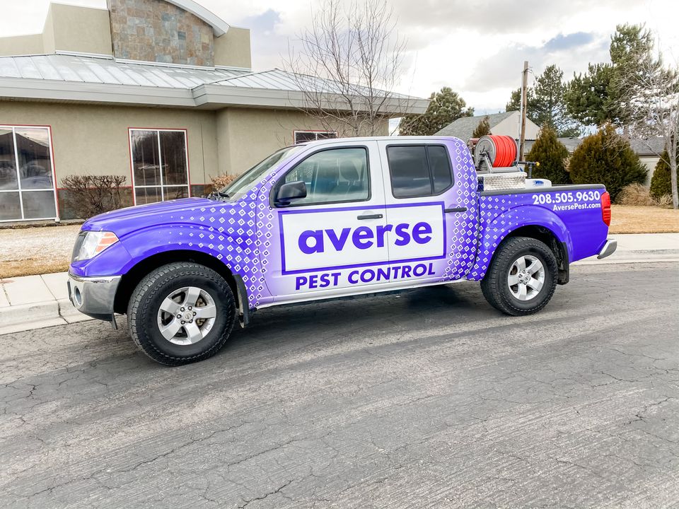 Averse Pest Control Recognized as the Best Pest Control Company by Expertise.Com