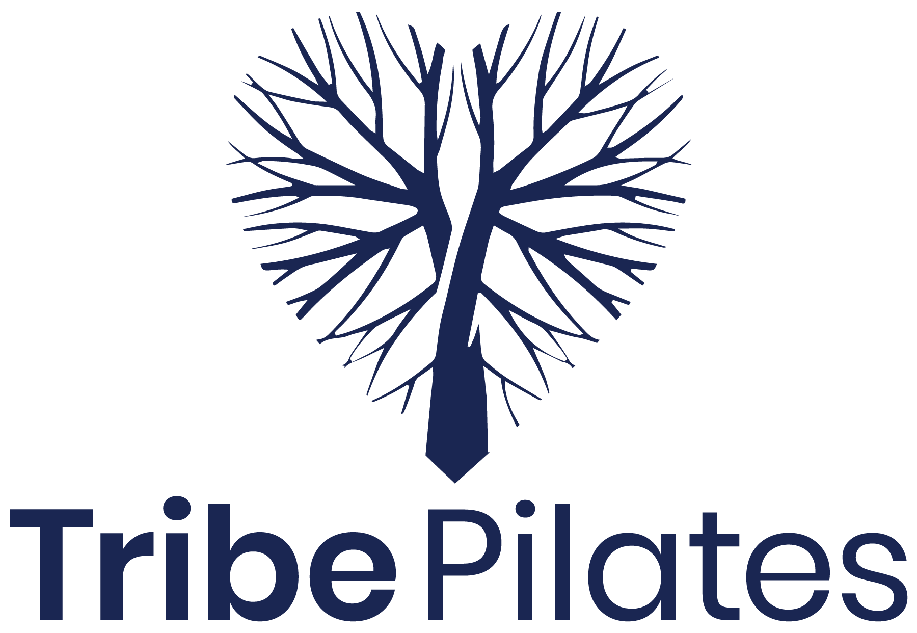 Tribe Pilates, a Top Pilates Studio in Santa Monica, CA is Voted the Most Loved New Business in the Santa Monica Area