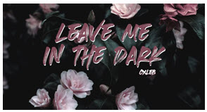 19-Years Old Musician Caleb Antestenis Releases New Song "Leave Me In The Dark" & Quickly Surpasses 100,000 Streams On Spotify 19-Years Old Musician Caleb Antestenis Releases New Song "Leave Me In The Dark" & Quickly Surpasses 100,000 Streams On Spotify