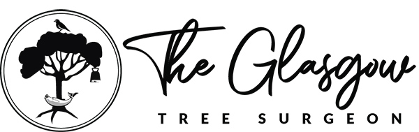 Tree-Ting Locals to a Free Christmas Tree Clear-Up Tree-Ting Locals to a Free Christmas Tree Clear-Up