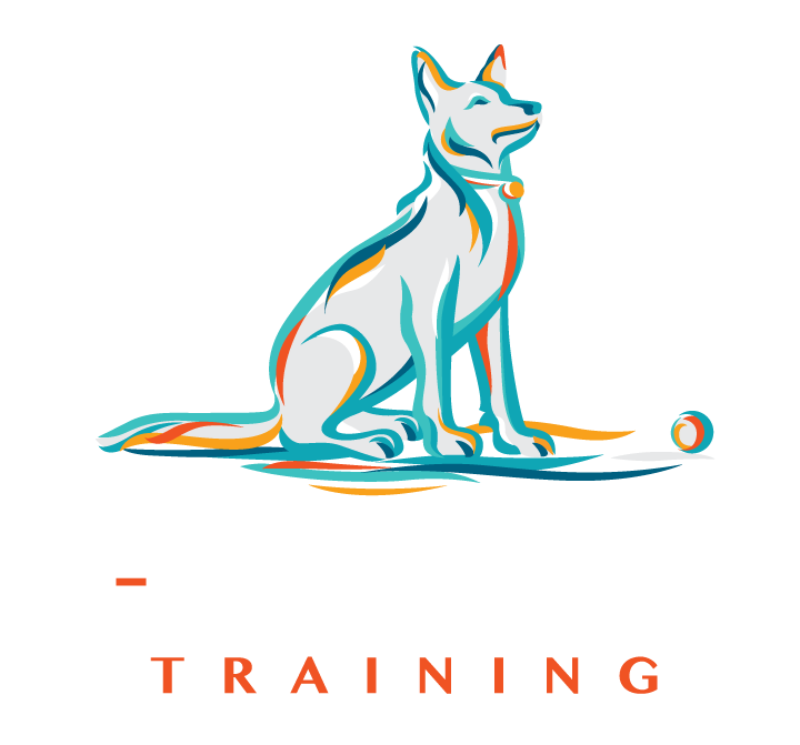 AZ Canine Training se spécialise dans le comportement du chien et la formation d'obéissance à Vancouver AZ Canine Training se spécialise dans le comportement du chien et la formation d'obéissance à Vancouver