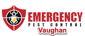 Emergency Pest Control Vaughn - The Top Rated Exterminators In Vaughan, Ontario
