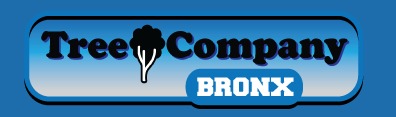 Tree Company Bronx - Tree Removal & Cutting Service Offers 24-Hour Services in The Bronx, NY
