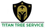 Memphis Tree Service Experts Has New Blogs Posted On Their Website