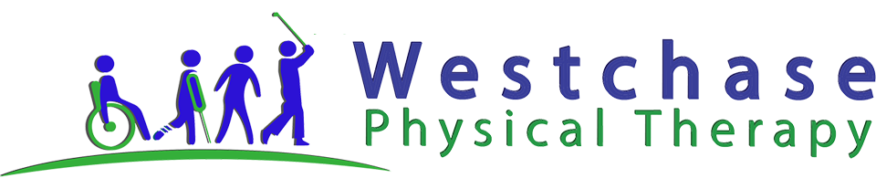 Best natural recovery from pains and aches with Westchase Physical Therapy