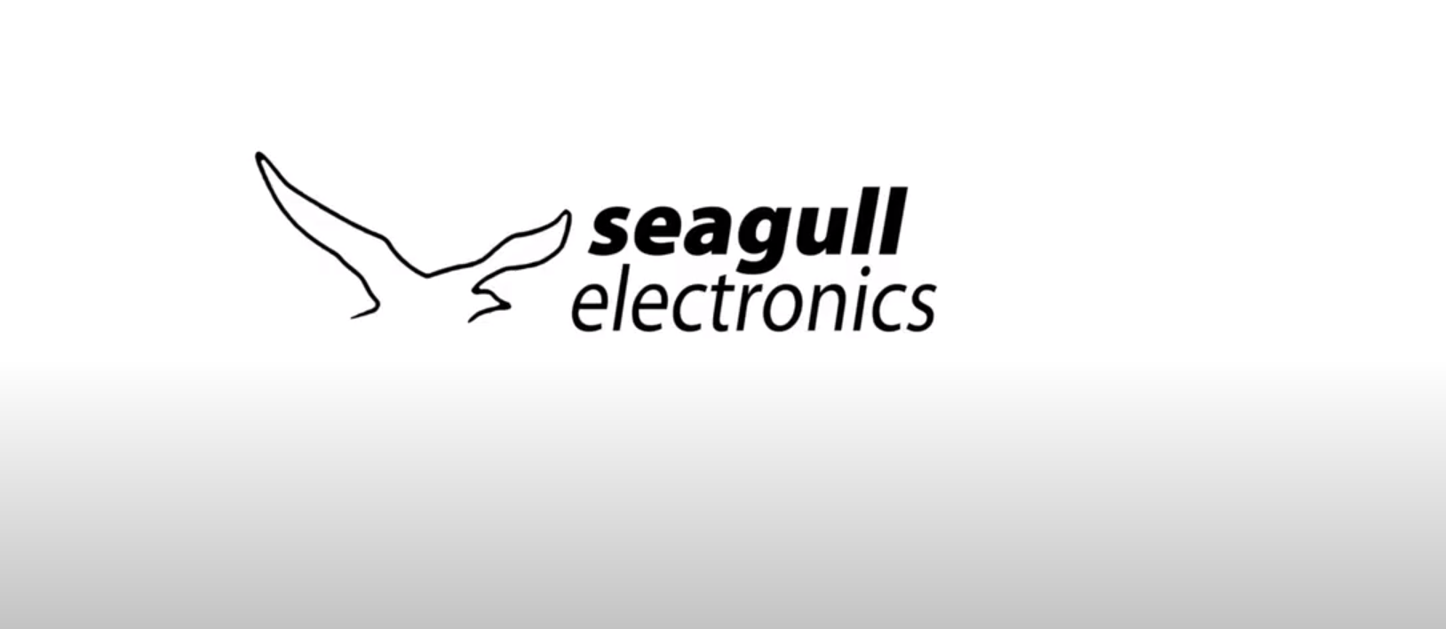 Quality TV installation, mounting, and Audio Installation services with Seagull Electronics
