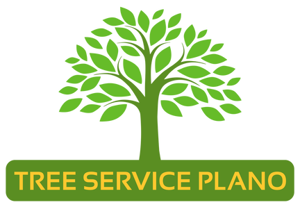 Tree Service Plano Highlights The Benefits Of Hiring A Professional Tree Service Provider.
