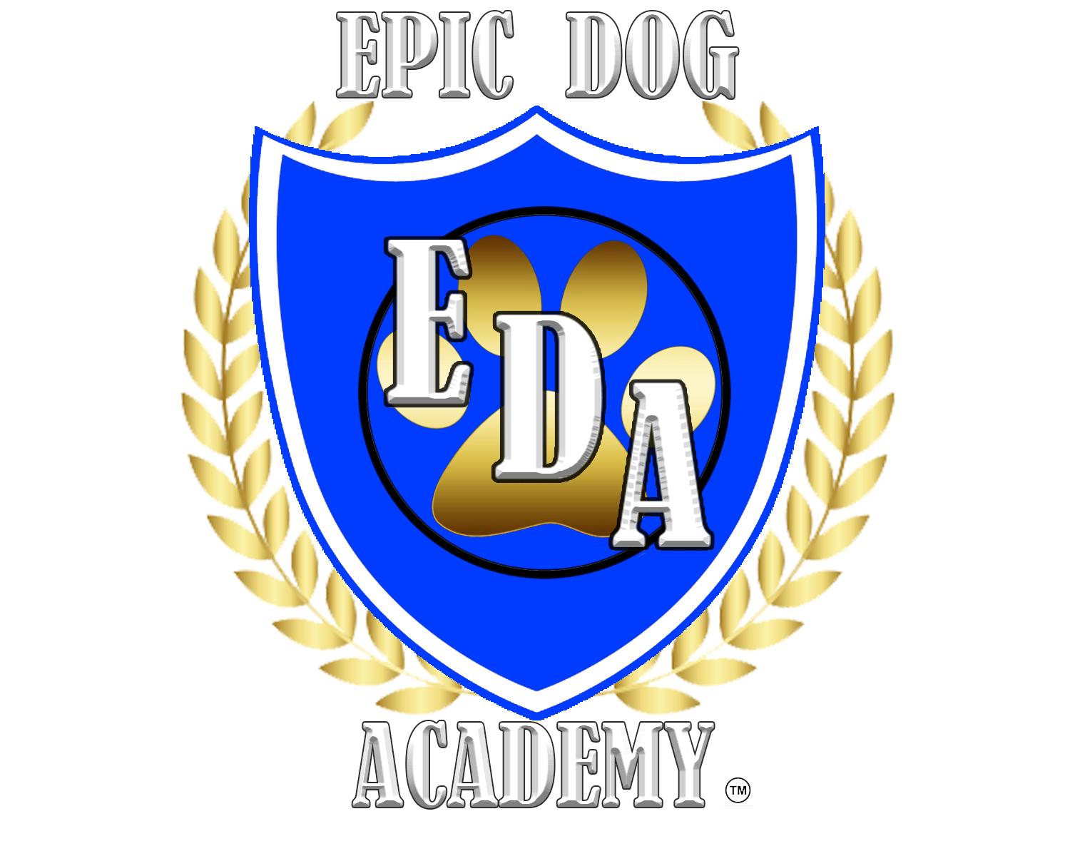 Epic Dog Academy opens its doors in Temecula Valley