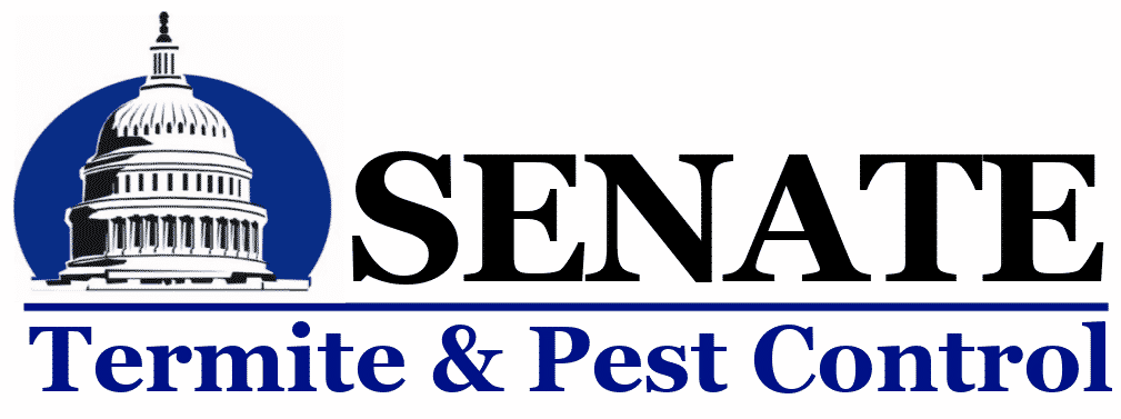 Pest Control Alexandria, VA Now Offered By Senate Termite And Pest Control