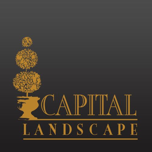 Capital Landscape, An Industry-leading Landscape Contractor Company in Sacramento offers One of Its Kind Residential Landscape Design Services