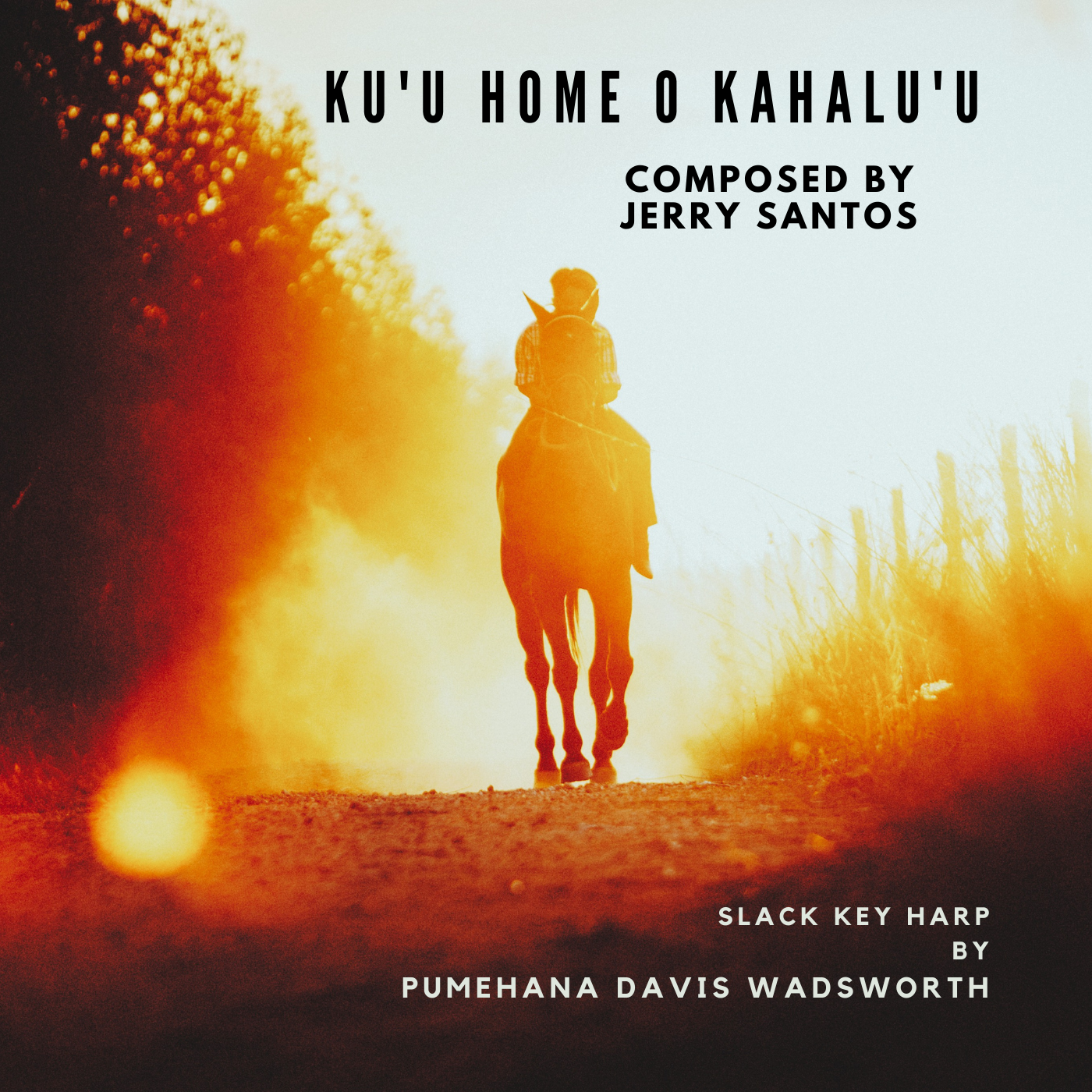 Bringing Hawaiian Slack Key Harp To Centre Stage - Rising Talent Pumehana Davis Wadsworth Unveils Captivating New Single