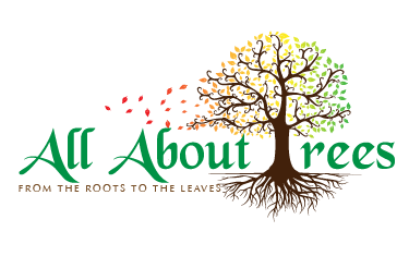 Northwest Oregon Based Arborist Launches New Website