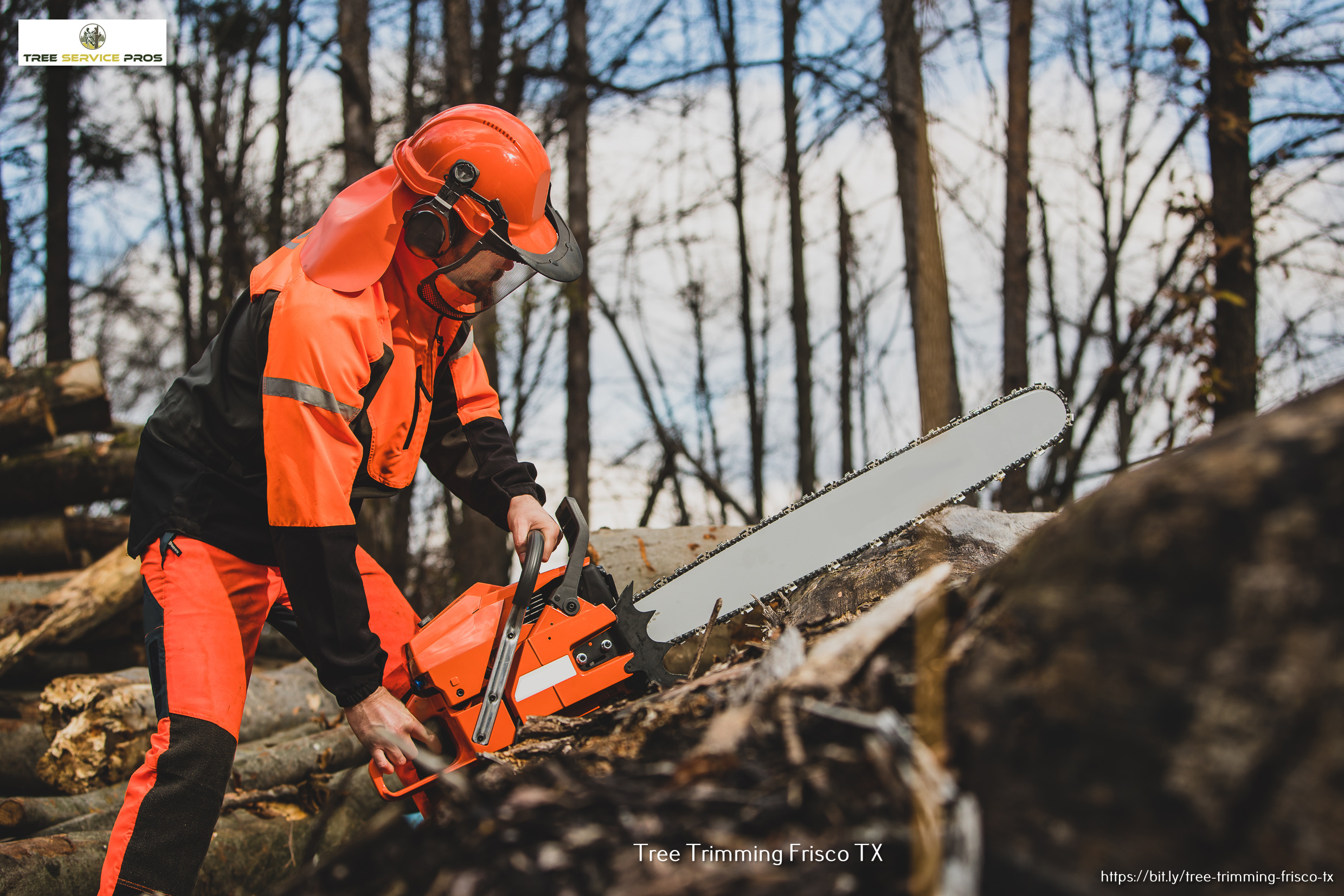 Tree Service Pros of Frisco Outlines How a Tree Removal Company Should Protect the Home