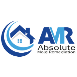 Absolute Mold Remediation Provides Superior Mold Removal Services in Hamilton