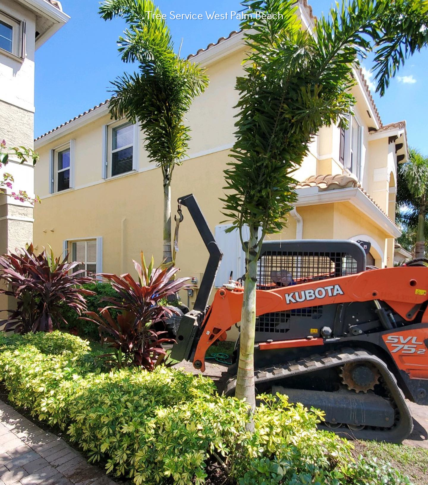 Palm Beach Tree & Landscape Highlights the Factors to Consider during Tree Removal.