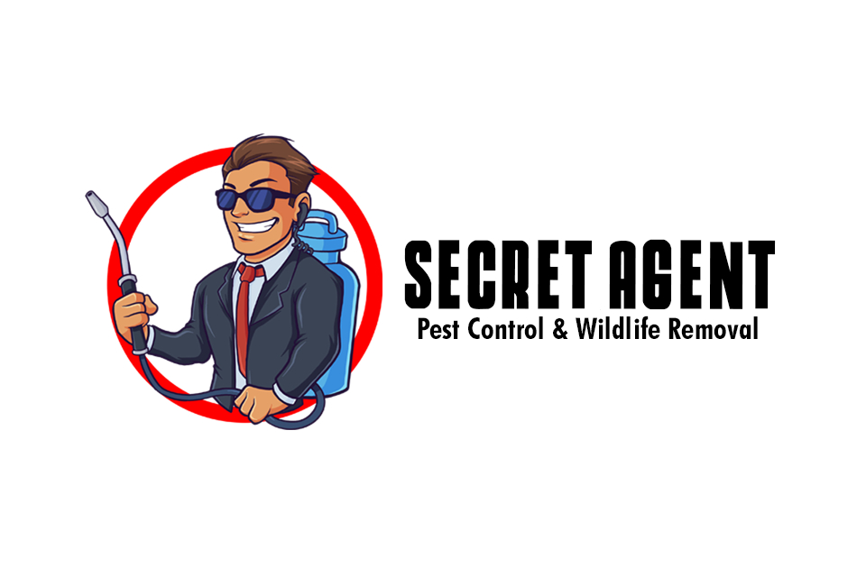 Secret Agent Pest Control & Wildlife Removal Highlights the Reasons to Hire a Professional Pest Control Company