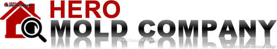 Hero Mold Company of Raleigh Highlights their Top-notch Mold Services