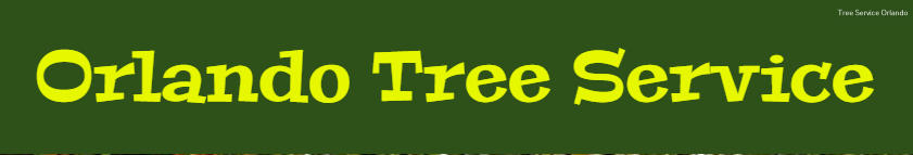 Orlando Tree Service Highlights Their Excellent Tree Services.