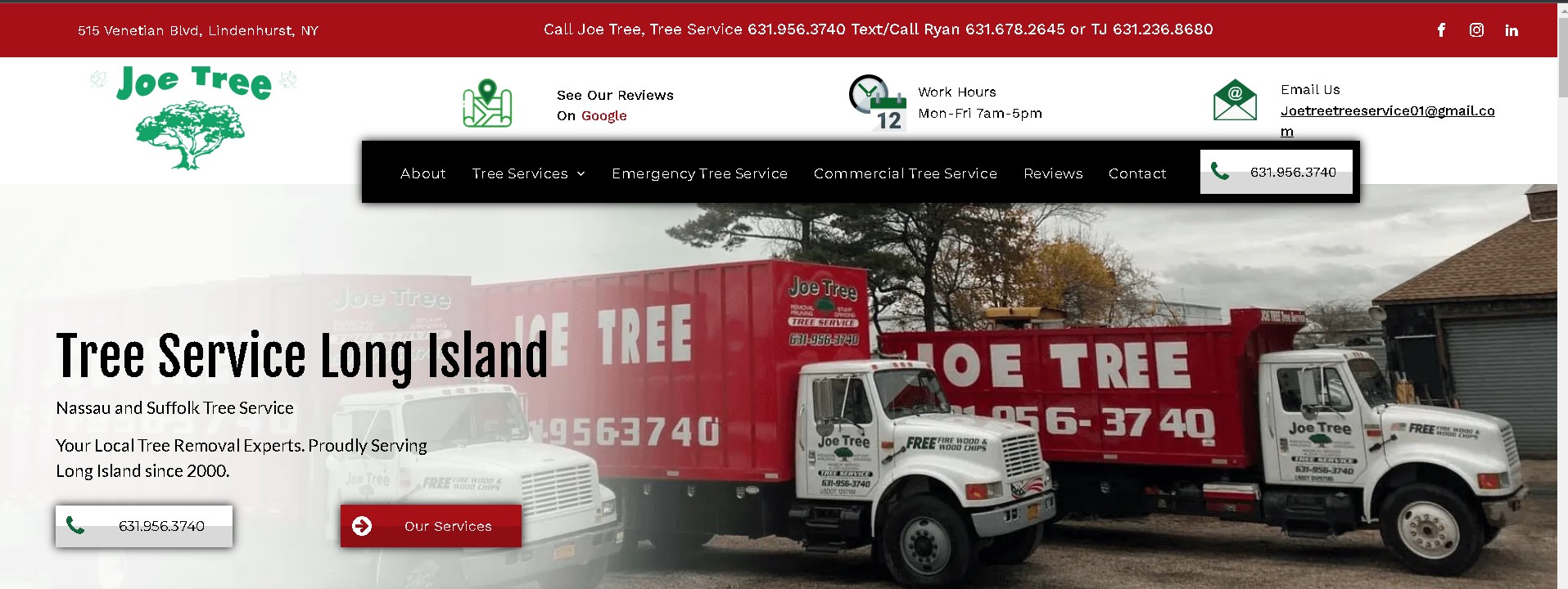 Joe Tree, Tree Removal Lindenhurst Continues to Provide Exceptional Tree Services