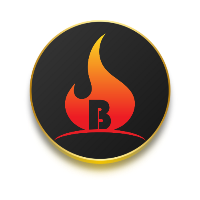 BurnReflect ($BBBR) to Introduce New Contract automated Audit Utility Tool, Providing Same Quality as Manual but Eliminating Human Error, Hyper Deflationary Rewards Token.