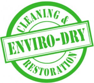 Enviro-Dry Cleaning and Restoration Highlights Its Restoration Services