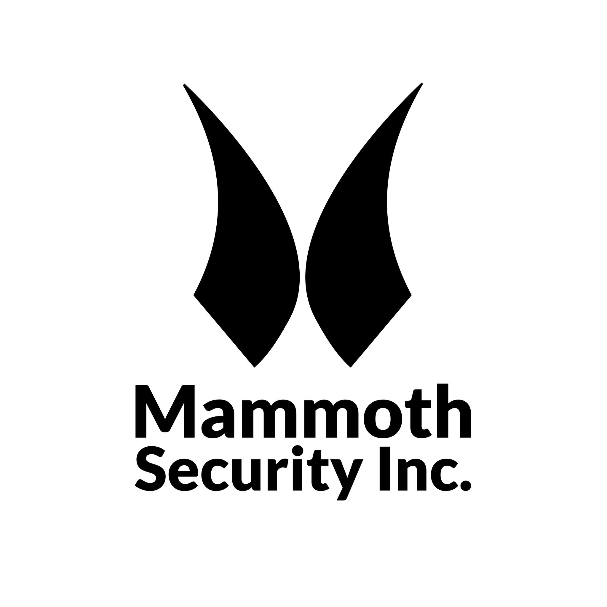 Mammoth Security Inc. Explains Why They are One of the Best Security System Installers